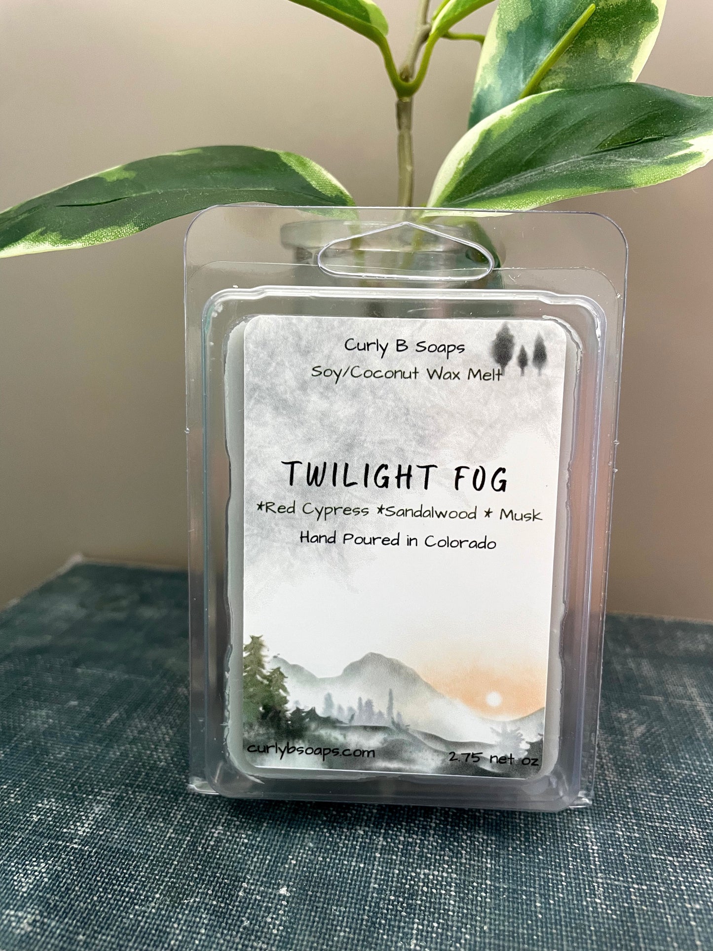 Twilight Fog Wax Melt