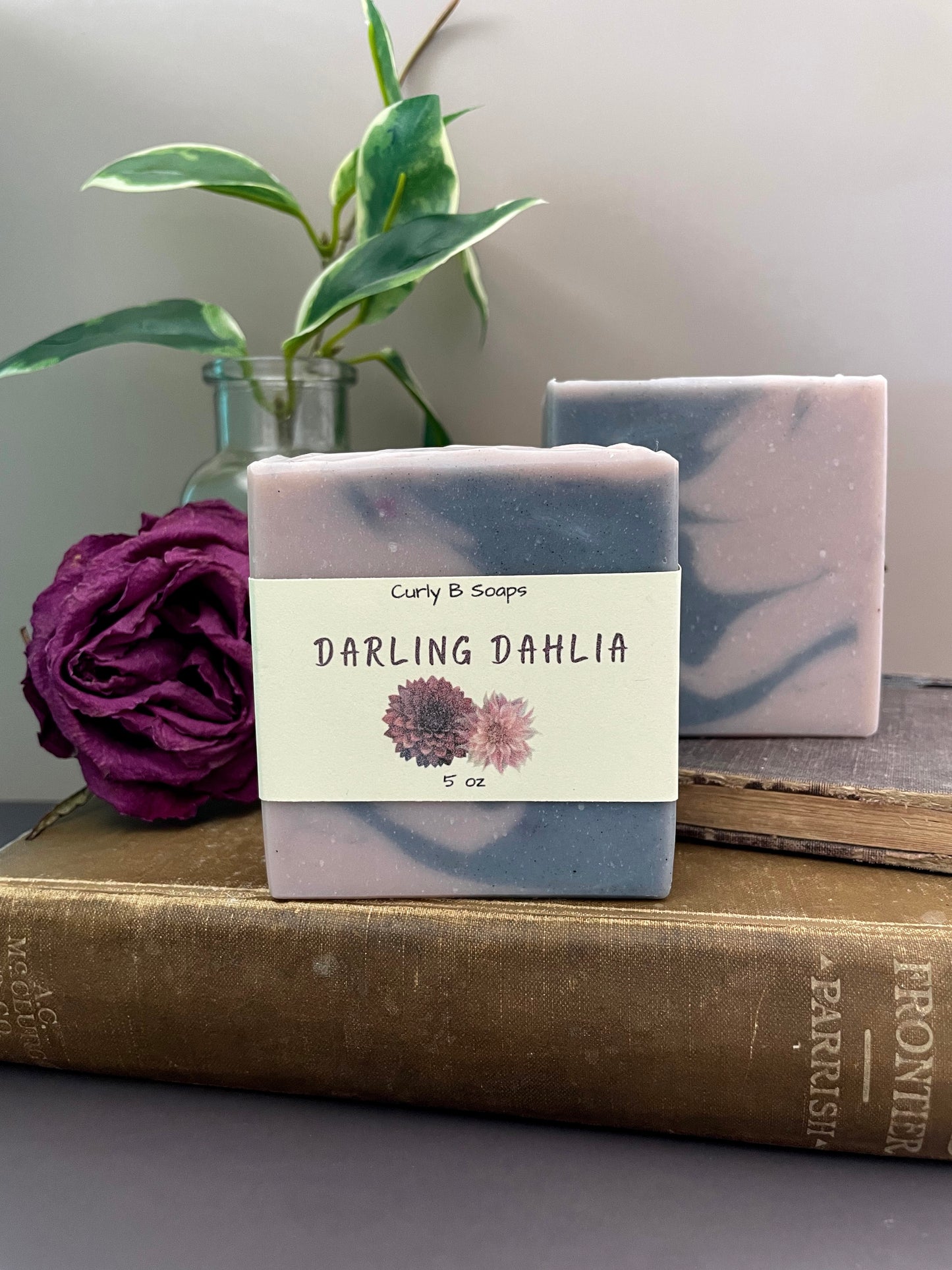 Darling Dahlia
